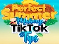 游戏完美的夏季化妆tik tok小贴士 在线