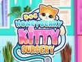 游戏Doc HoneyBerry Kitty 手术 在线