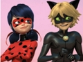游戏Miraculous Ladybug & Cat Noir 拼图 在线