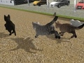 游戏跑猫猫比赛 在线