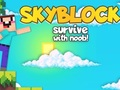 游戏Skyblock 与 Noob 一起生存！ 在线