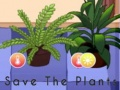 游戏拯救植物 在线