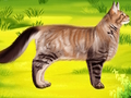 游戏猫 宠物医生 牙医 在线