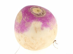 游戏芜菁 在线