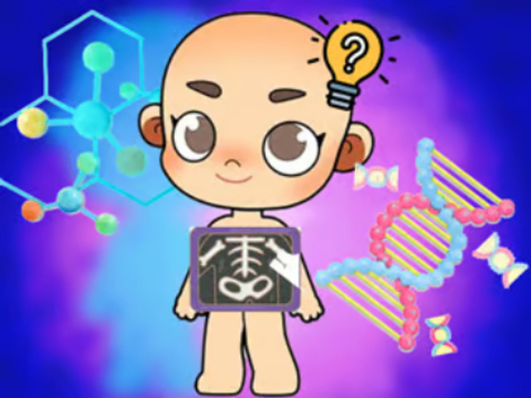 游戏儿童测验：身体科学 在线