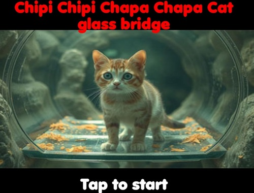 游戏Chipi Chipi Chapa Chapa猫玻璃桥 在线