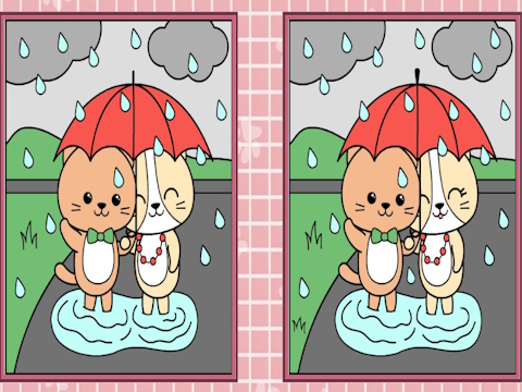游戏发现差异可爱的小猫 在线