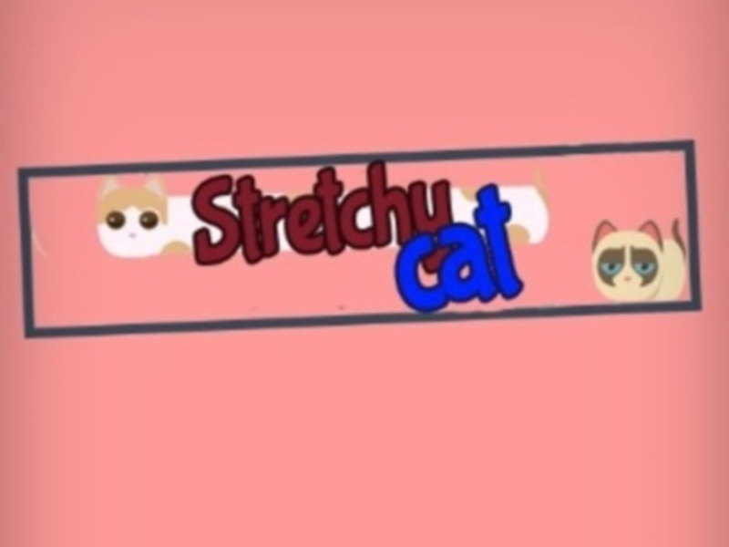 游戏弹性猫 在线
