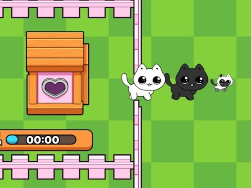 游戏我的小猫。 Catworld在线